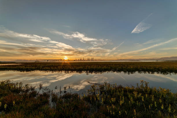 istock Wetland by sea beach at sunset 841041208
