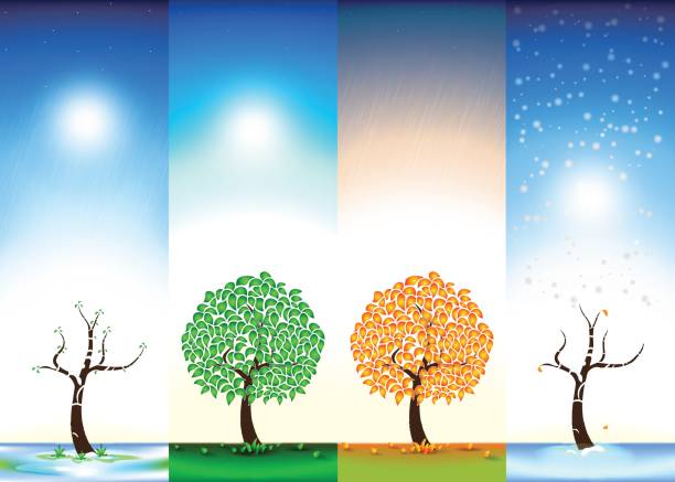 istock Four seasons. Spring. Summer. Autumn. Winter. Bloom. Foliage. Rain. Snow. Vector illustration. 841044644