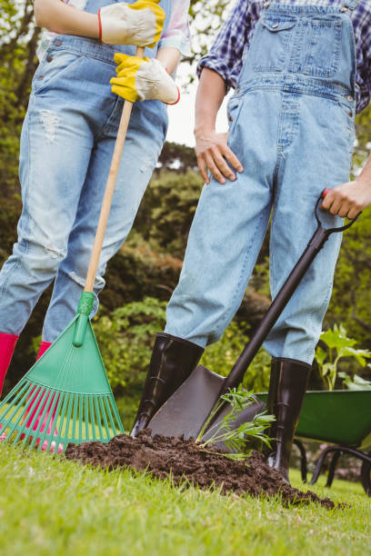 istock Young couple standing near a sapling in garden 841045680
