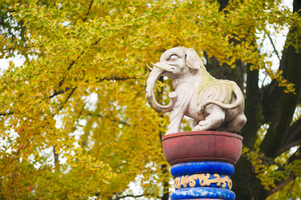 White elephant statue against yellow trees in China