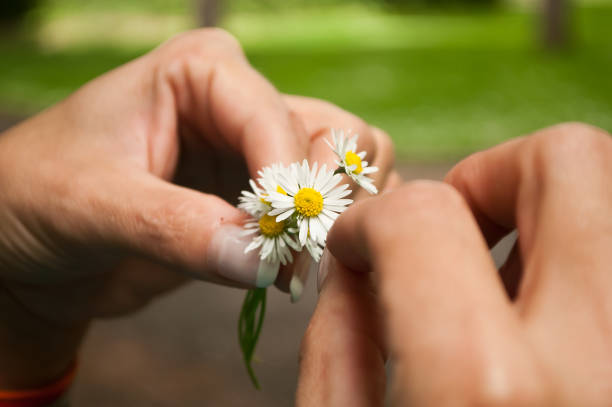 istock woman with daisies on hands 841053568