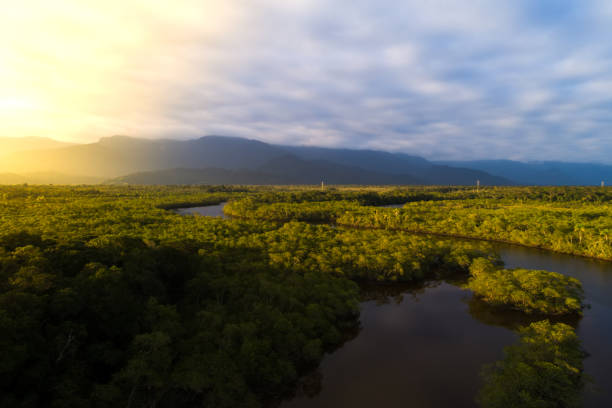 istock Aerial View of a Rainforest in Brazil 841054604