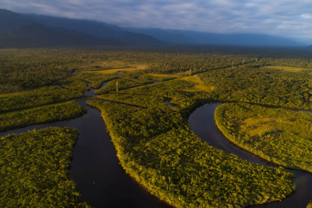 istock Aerial View of a Rainforest in Brazil 841054608
