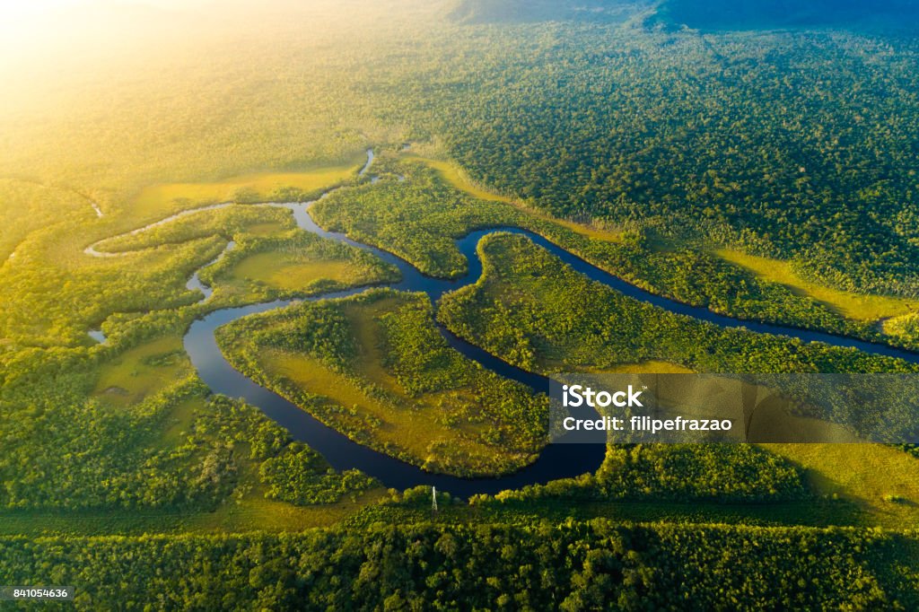 Luftaufnahme des Regenwaldes in Brasilien - Lizenzfrei Amazonien Stock-Foto
