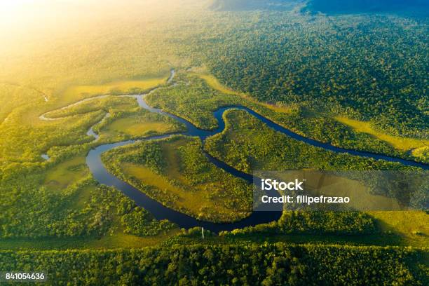 Luftaufnahme Des Regenwaldes In Brasilien Stockfoto und mehr Bilder von Amazonien - Amazonien, Brasilien, Fluss