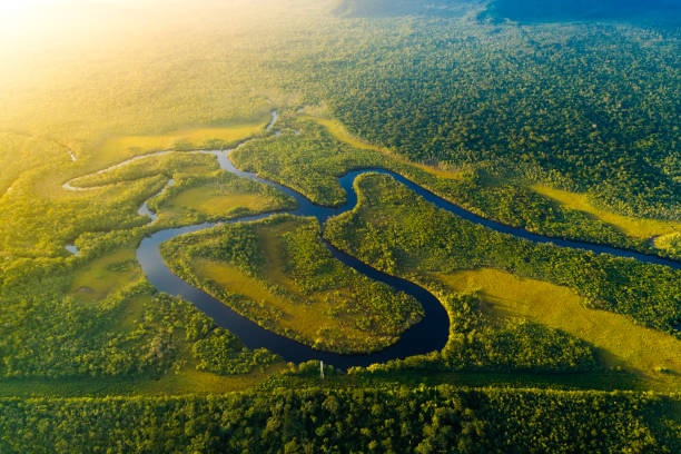 vista aérea de una selva tropical en brasil - viaje al amazonas fotografías e imágenes de stock