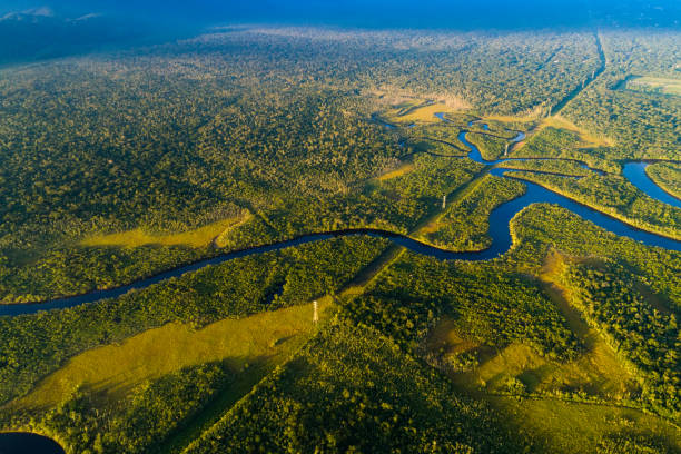 ブラジルの熱帯雨林の空中写真 - forest canal tropical rainforest river ストックフォトと画像