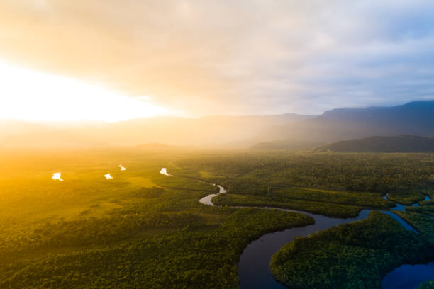 vue aérienne d’une forêt tropicale au brésil - marécage photos et images de collection