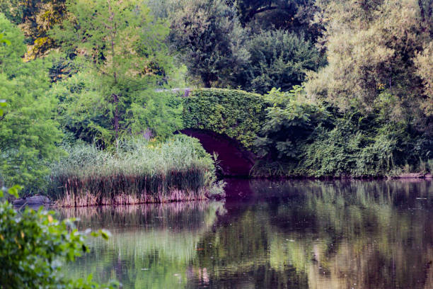 istock Central Park New York City 841057792