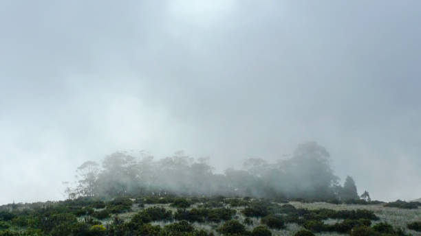 haleakalā 국립 공원 - haleakala national park badlands maui extreme terrain 뉴스 사진 이미지