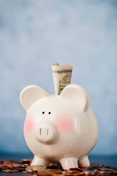 istock Piggy bank blushing 841071582