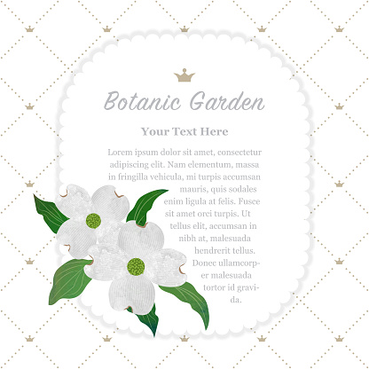 Colorful watercolor texture vector nature botanic garden memo frame white dogwood cornus florida