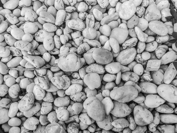 Wet river stones background, different shapes and colors