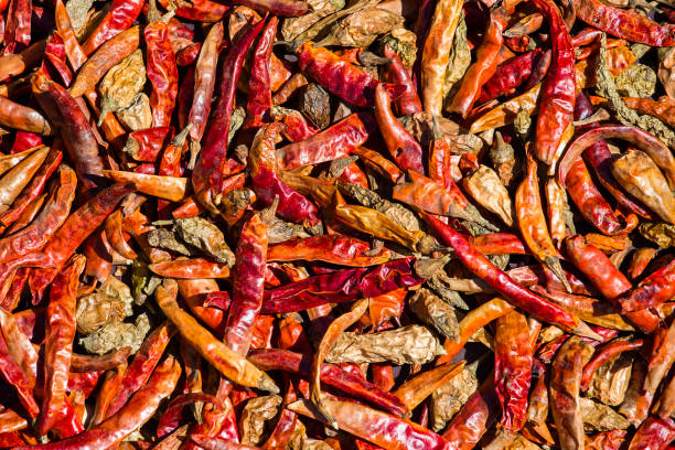 istock Red hot chili peppers background in Nepal 841079938