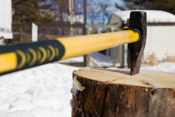 Man chopping cleaving with axe doing wood work outside woodcutter/lumberjackMan shopping up a tree in fire wood size, photo taken outdoors