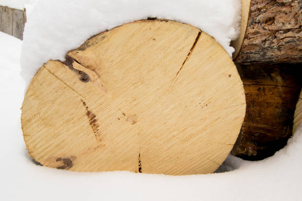 istock Pile of winter firewood 841083364