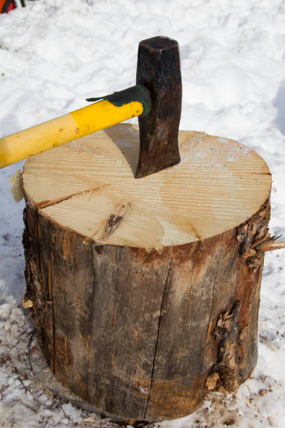 istock Thick butt splitting axe used for chopping winter firewood in Yukon 841083540