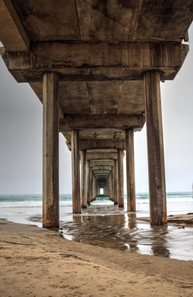 istock Under the Scripps pier in La Jolla 841086762
