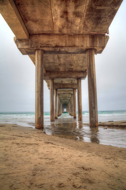 istock Under the Scripps pier in La Jolla 841086876