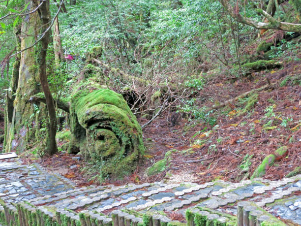 istock Yakushima hiking trail 841087298
