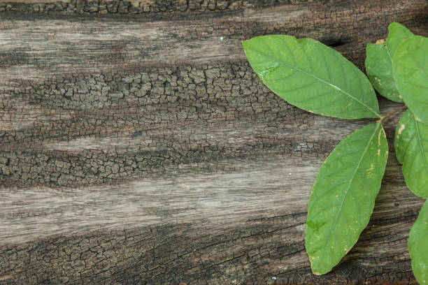 Frame from green and yellow leaves on the light wood background. Background with copy space