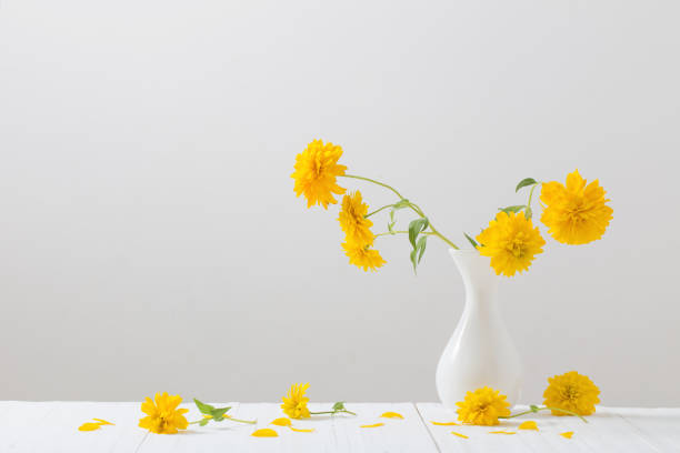 yellow flowers in vase on white background