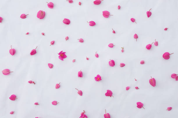 istock Pattern of pink coral vine flowers 841106320