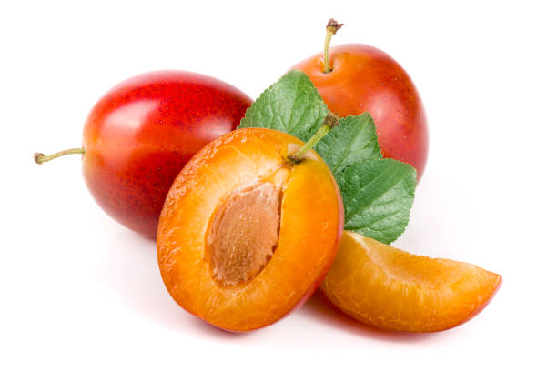 istock red plums end half with leaves isolated on white background 841114512