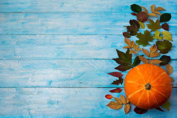 istock Thanksgiving background with leaves and orange squash on blue 841117162