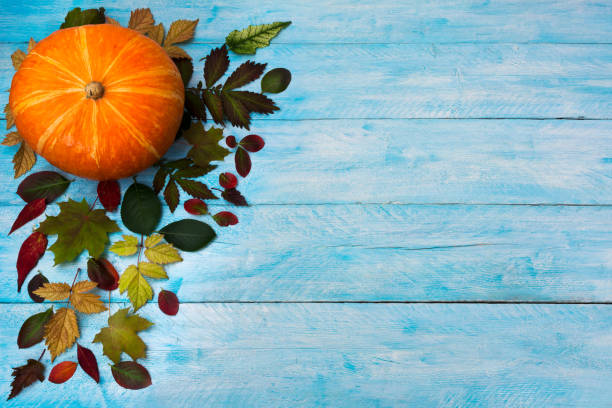 istock Happy Thanksgiving with fall leaves on blue background 841117170