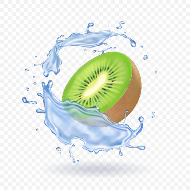 ilustrações de stock, clip art, desenhos animados e ícones de kiwi fruit and water splash. fruit fresh realistic illustration - dairy farm liquid food and drink splashing