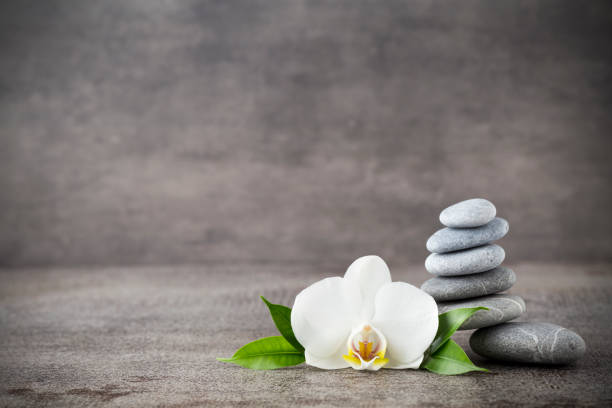 istock White orchid and spa stones on the grey background. 841128918