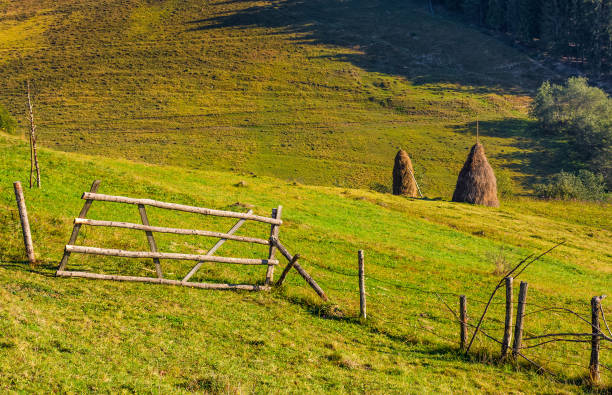 istock hay stacks behind the fence on rural field 841131952