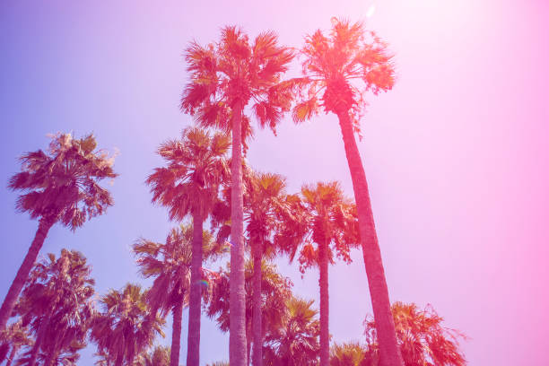 istock Palm trees at Ichmeler beach Turkey. 841141956
