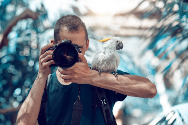 istock photographer in tropical forest 841147572