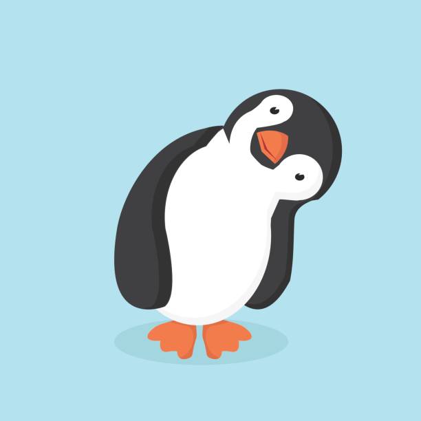 Cute Penguin cartoon Vector illustration, Flat and minimal penguin stock illustrations