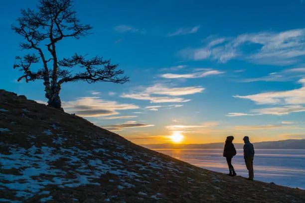 Photo of Silhouette scene of sacred tree at Cape Burkhan on Olkhon Island