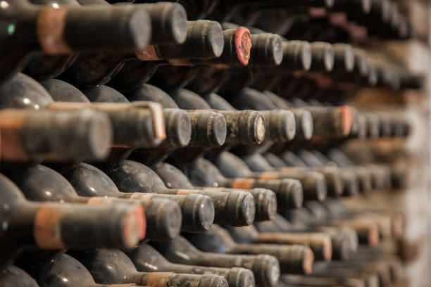 old wine bottles covered with dust and cobwebs are in the wine cellar - wine cellar wine bottle grape imagens e fotografias de stock