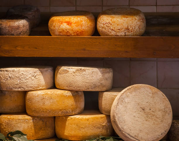 istock Different types of cheese on shelves 841158964