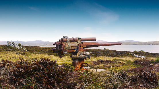 Rusty abandoned obsolete manned gun on heath habitat overlooking coastline and Stanley Harbour.
