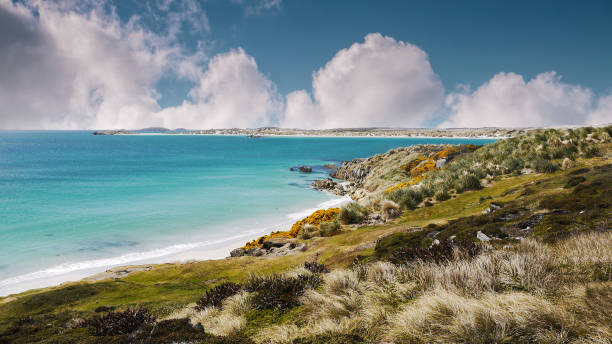 Land mine area on white sandy beaches and coastal Falkland Islands remaining from Falklands War. Turquoise water and white beaches of East Falkland Island. Blue sky and fluffy white clouds. falkland islands stock pictures, royalty-free photos & images