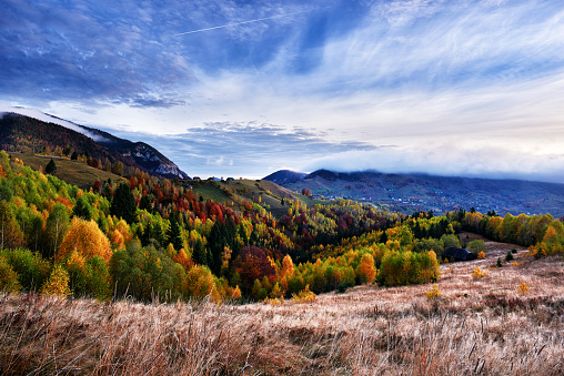 horizontal nature background in autumn day with colorful trees.
