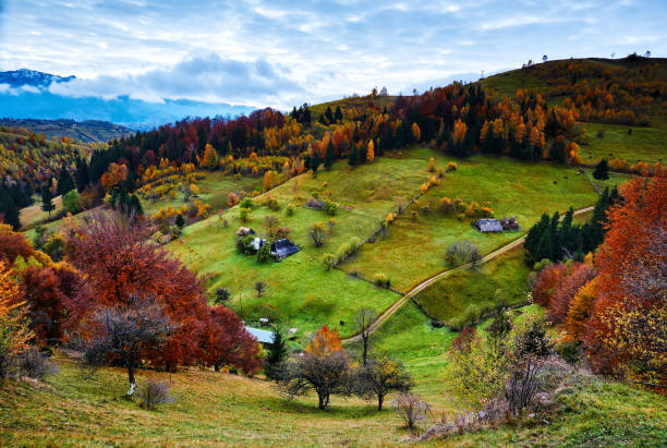 istock amazing nature in autumn day 841163540