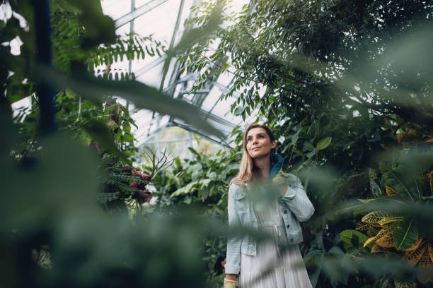 mujer que trabaja en un centro de jardín - jardín botánico fotografías e imágenes de stock