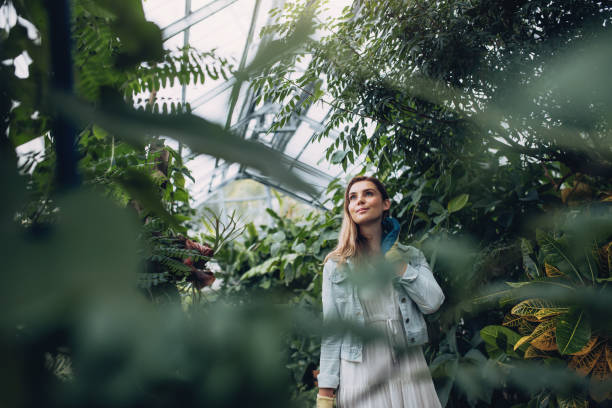 mulher que trabalha em um centro de jardim - jardim botânico - fotografias e filmes do acervo