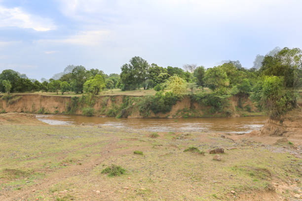 istock River bank in the Samburu National Park 841166748