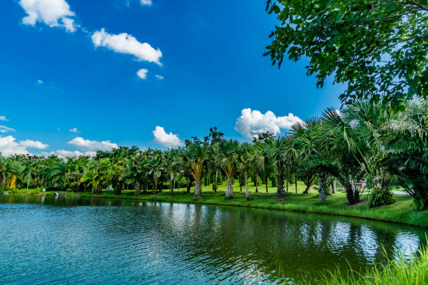 istock Mountain trees and green lake 841166800
