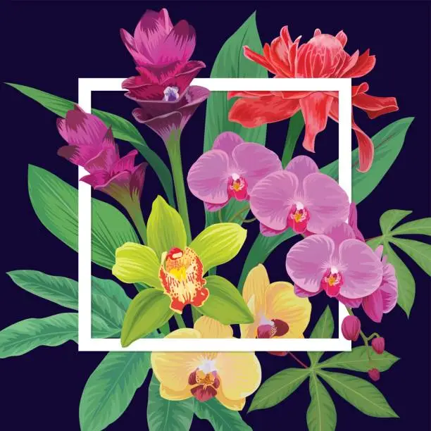 Vector illustration of Floral pattern vanda orchid, red torch ginger, curcuma tulips flowers and leaves on dark background.