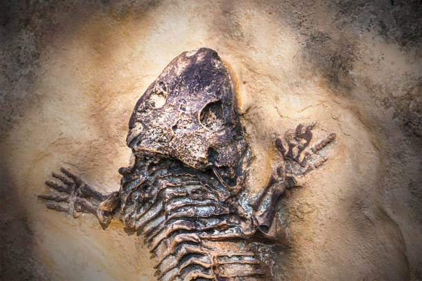istock Skeleton of ancient extinct animal 841173992