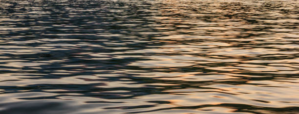 Free Stock Photo of Ripples on water surface at sunset | Download Free ...